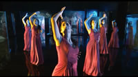 Flamenco, Flamenco (2010) 